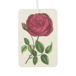 Antique Rose Lithograph, François-Frédéric Grobon Car Air Freshener