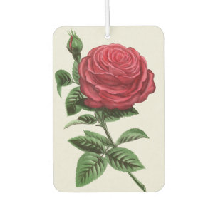 Antique Rose Lithograph, François-Frédéric Grobon Car Air Freshener