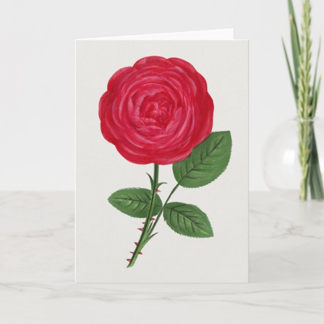 Antique Rose Lithograph, François-Frédéric Grobon Card (Front)