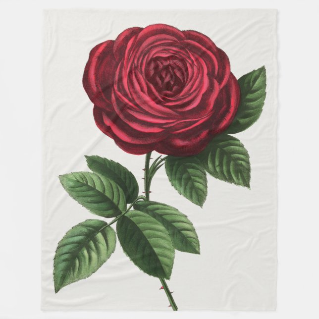 Antique Rose Lithograph, François-Frédéric Grobon Fleece Blanket (Front)