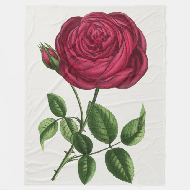 Antique Rose Lithograph, François-Frédéric Grobon Fleece Blanket (Front)