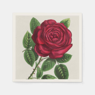 Antique Rose Lithograph, François-Frédéric Grobon Napkin