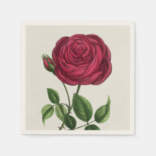 Antique Rose Lithograph, François-Frédéric Grobon Napkin