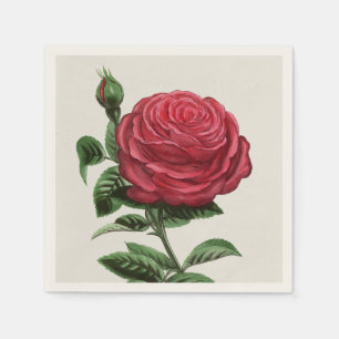 Antique Rose Lithograph, François-Frédéric Grobon Napkin