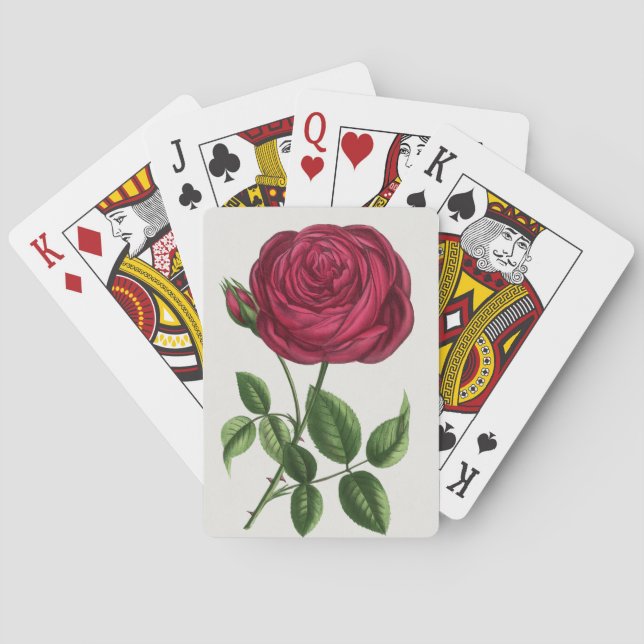 Antique Rose Lithograph, François-Frédéric Grobon Playing Cards (Back)