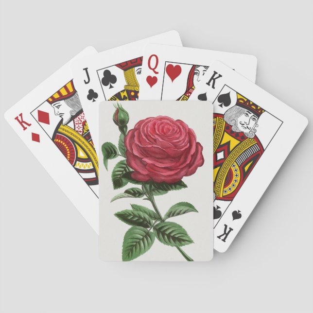 Antique Rose Lithograph, François-Frédéric Grobon Playing Cards (Back)