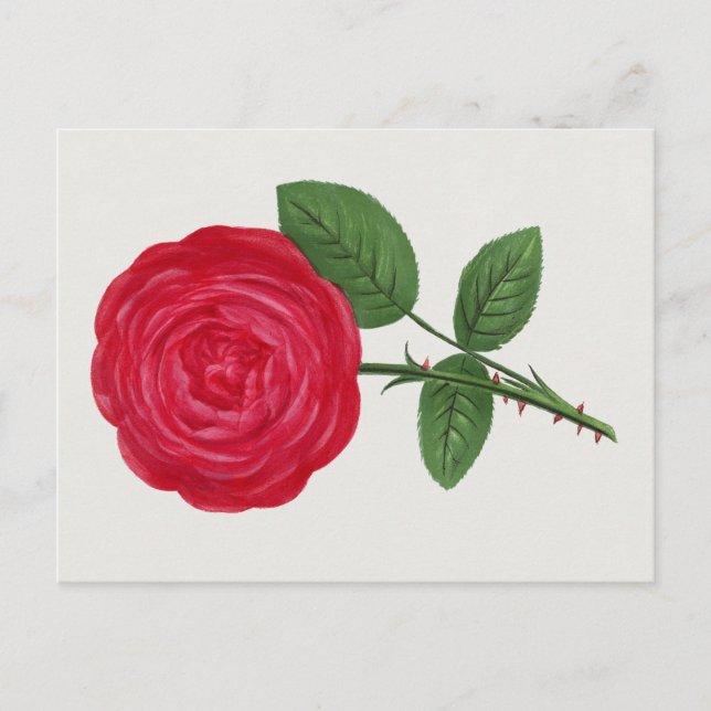 Antique Rose Lithograph, François-Frédéric Grobon Postcard (Front)
