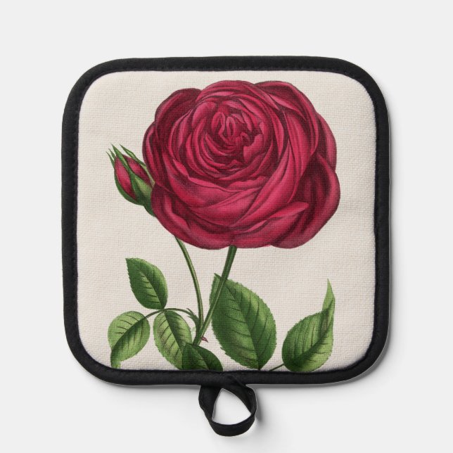Antique Rose Lithograph, François-Frédéric Grobon Pot Holder (Front)