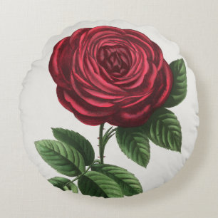 Antique Rose Lithograph, François-Frédéric Grobon Round Cushion