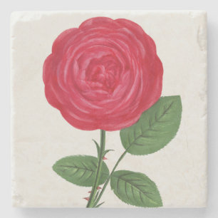 Antique Rose Lithograph, François-Frédéric Grobon Stone Coaster