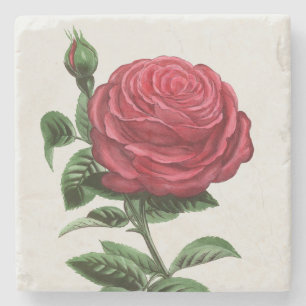 Antique Rose Lithograph, François-Frédéric Grobon Stone Coaster