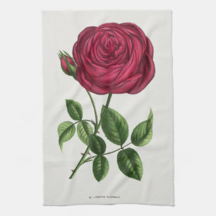 Antique Rose Lithograph, François-Frédéric Grobon Tea Towel