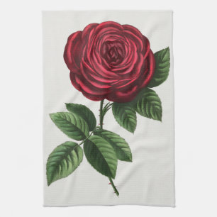 Antique Rose Lithograph, François-Frédéric Grobon Tea Towel
