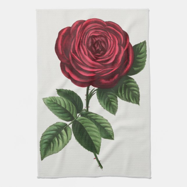 Antique Rose Lithograph, François-Frédéric Grobon Tea Towel (Vertical)