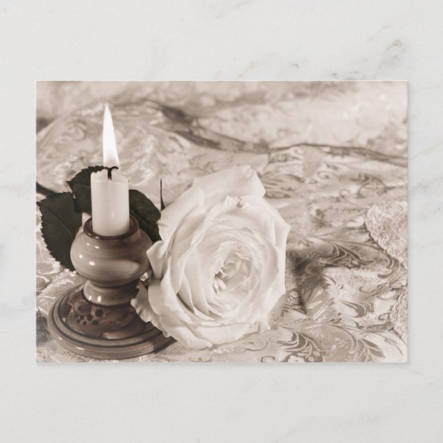 Antique Rose Postcard (Front)