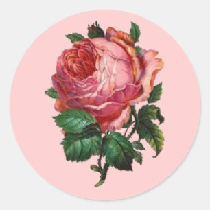 Antique Rose Sticker