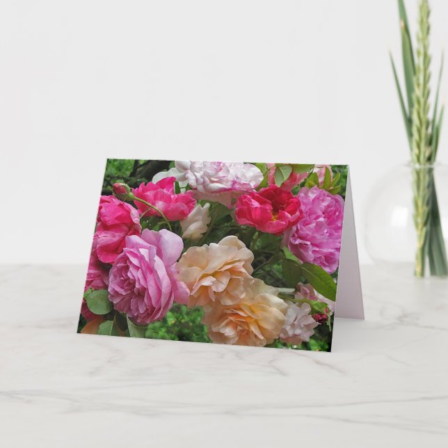 Antique Roses Birthday Card (Front)