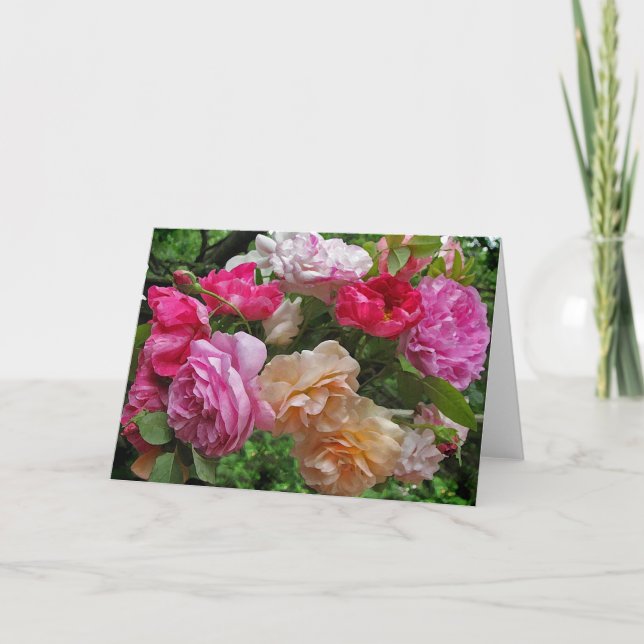 Antique Roses Note Card (Front)
