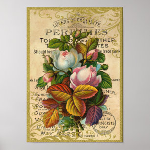 Antique Roses Perfume Butterflies Poster