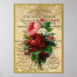Antique Roses Perfume Poster