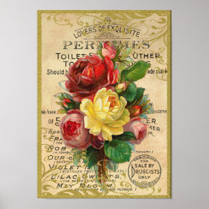 Antique Roses Perfume Poster