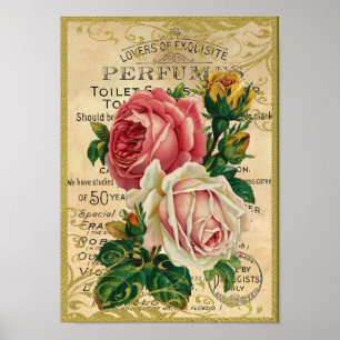 Antique Roses Perfume Poster