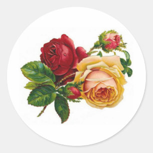 Antique Roses - Sticker