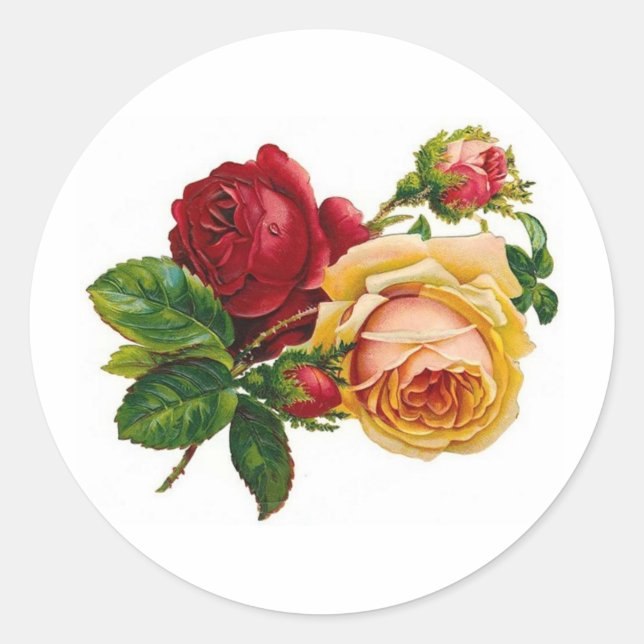 Antique Roses - Sticker (Front)