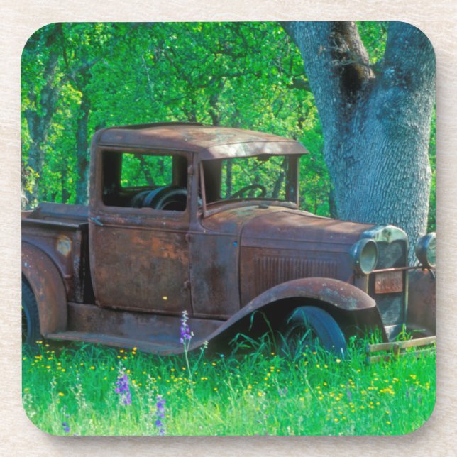 Antique rusted truck in a meadow coaster (Front)