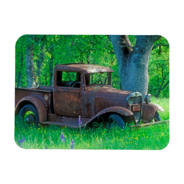 Antique rusted truck in a meadow magnet (Horizontal)