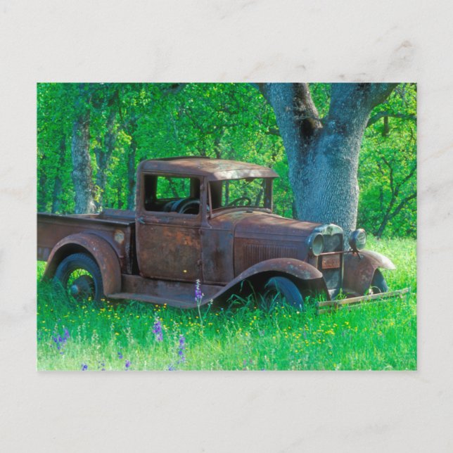 Antique rusted truck in a meadow postcard (Front)