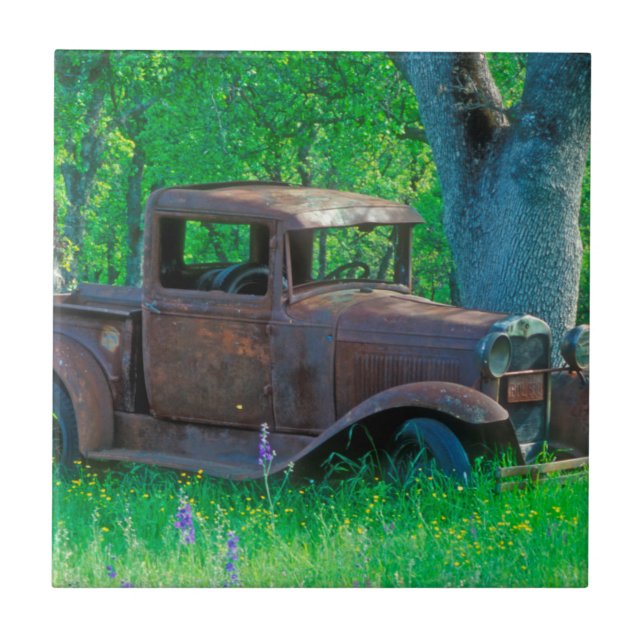 Antique rusted truck in a meadow tile (Front)