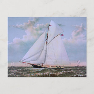 Antique Sailing Ship Sloop Yacht Sailboat Ocean Postcard