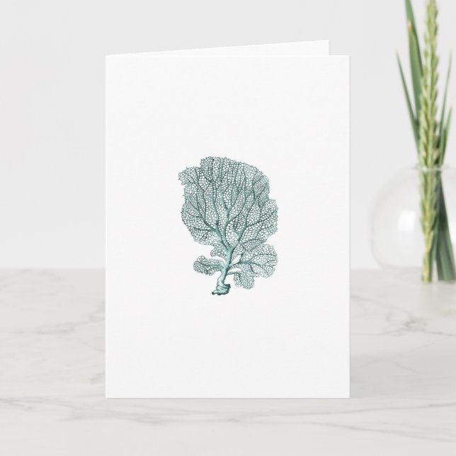 Antique Sea Coral Illustration greeting Card (Front)