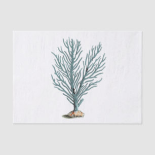 Antique Sea Coral Illustration Tissue Paper