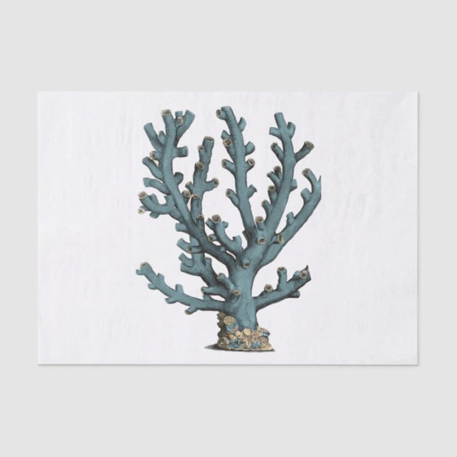 Antique Sea Coral Illustration Tissue Paper (Front)