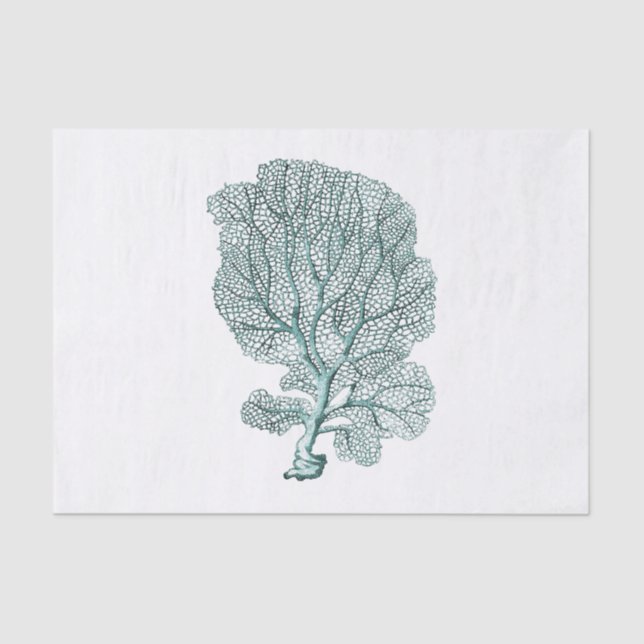 Antique Sea Coral Illustration Tissue Paper (Front)