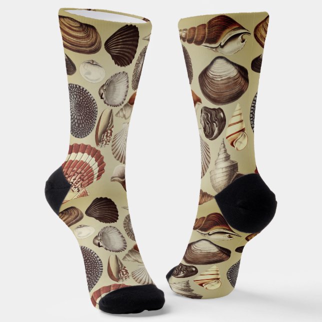 Antique Seashell Crew Socks (Angled)