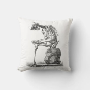 Antique Skeleton Anatomy: Gothic Halloween Medical Cushion
