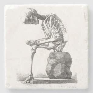 Antique Skeleton Anatomy: Gothic Halloween Medical Stone Coaster