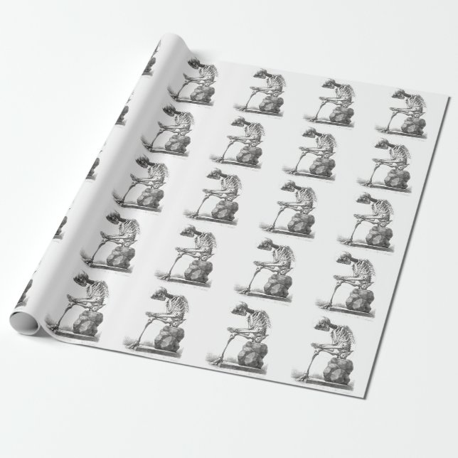 Antique Skeleton Anatomy: Gothic Halloween Medical Wrapping Paper (Unrolled)