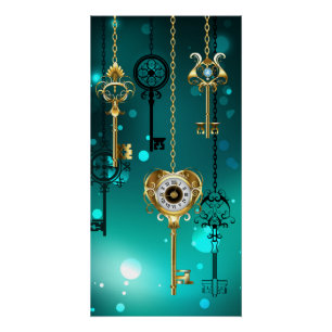 Antique Skeleton Keys on Green Background Poster