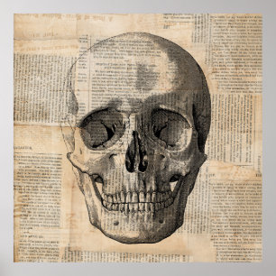 Antique Skull Illustration Vintage Art News Print