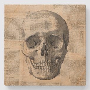 Antique Skull Illustration Vintage Art News Print Stone Coaster