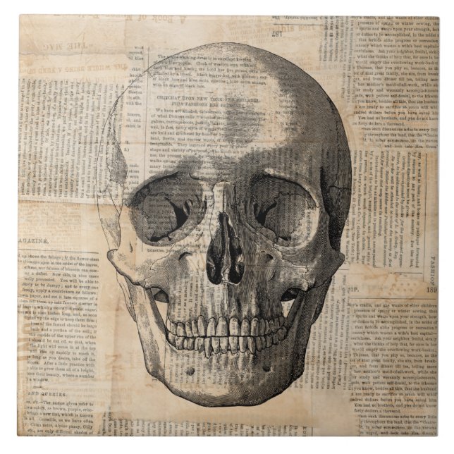Antique Skull Illustration Vintage Art News Print Tile (Front)