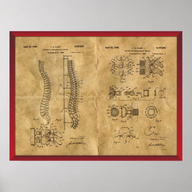 Antique Spine Drawing Poster (Front)