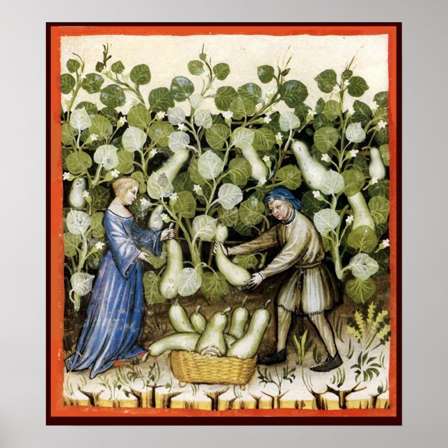 ANTIQUE SQUASH HARVEST POSTER (Front)