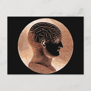 Antique Style Golden Mind Phrenology head Postcard