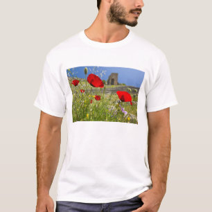 Antique theatre in Acropolis of Pergamon T-Shirt