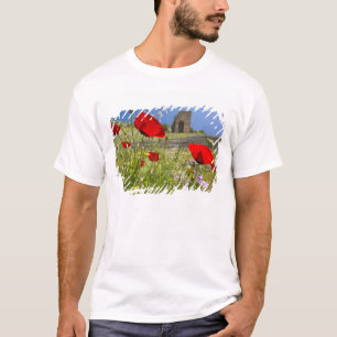 Antique theatre in Acropolis of Pergamon T-Shirt
